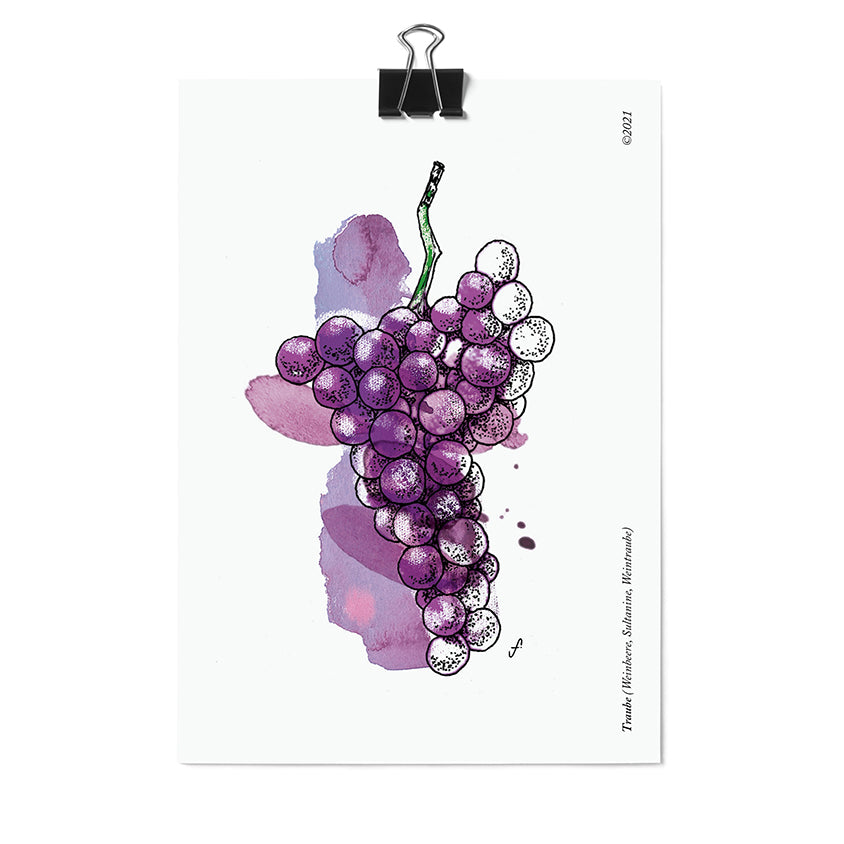 Postkarte Traube