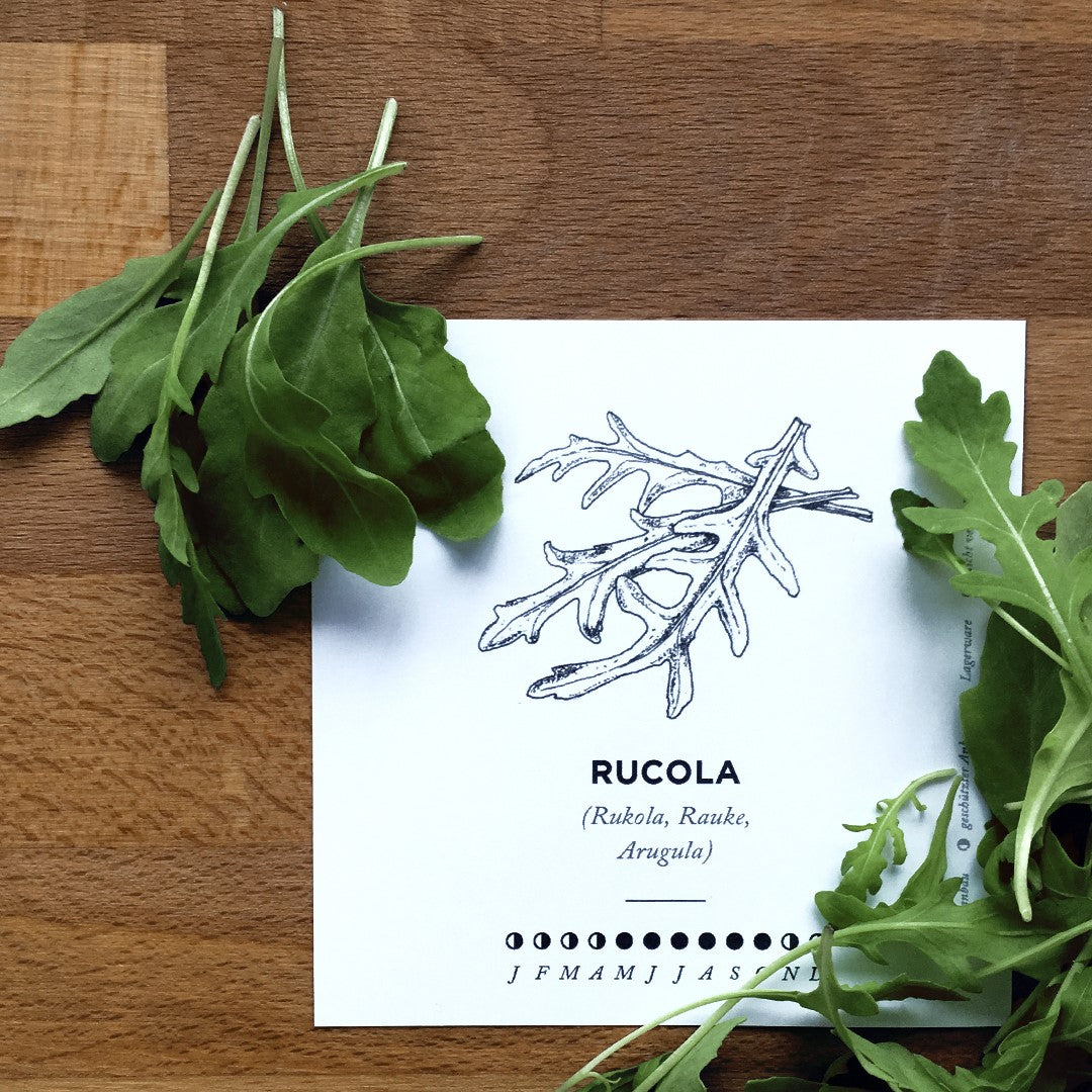 Rucola vom Unkraut zum Trendkraut