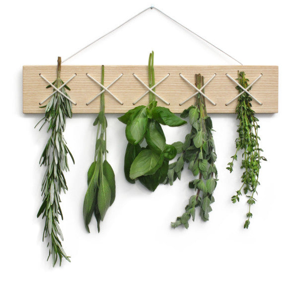 Kraeutertrockner Kraeutertrockner