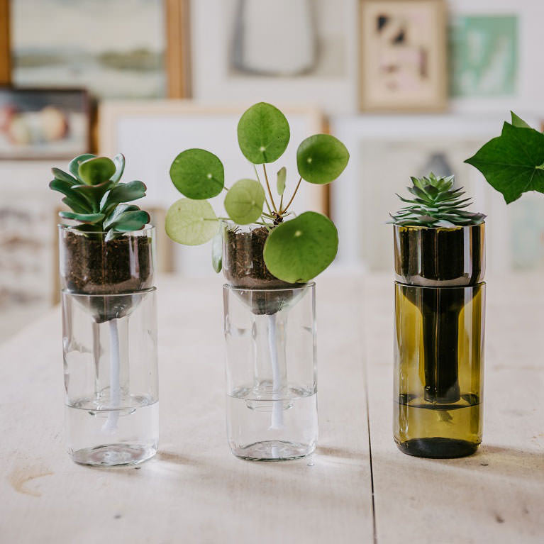 Pflanzgefaess selbstbewaessernd gruen