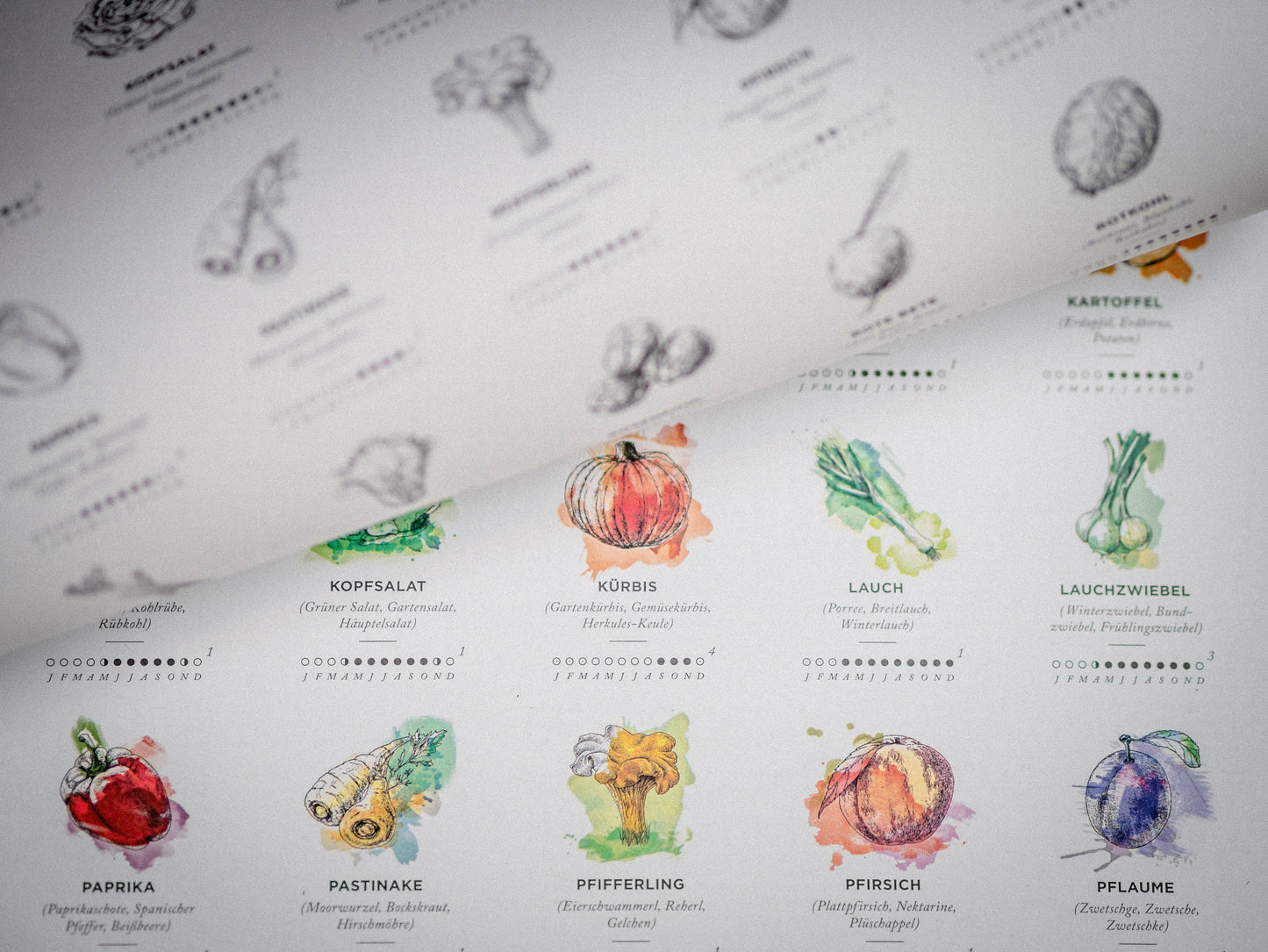 Saisonkalender Blatt