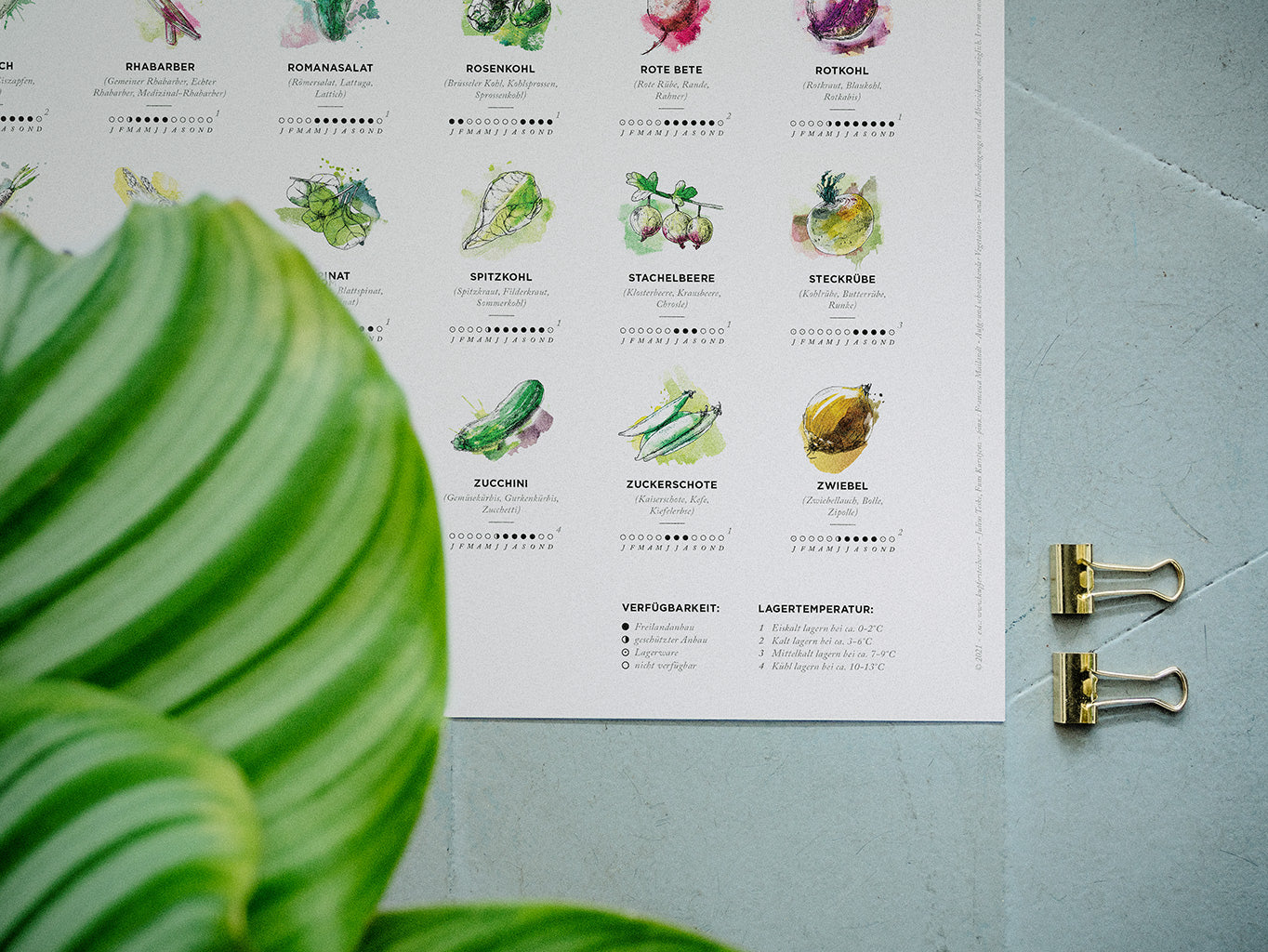 Detail Saisonkalender, Farbe