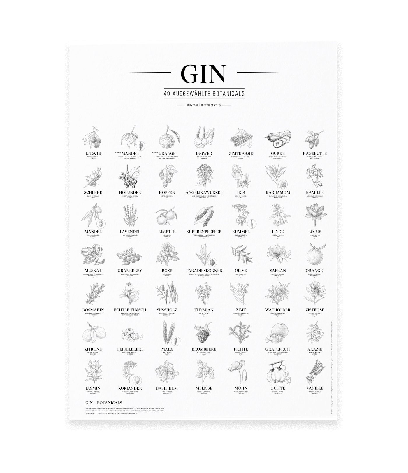 Gin Plakat DE W