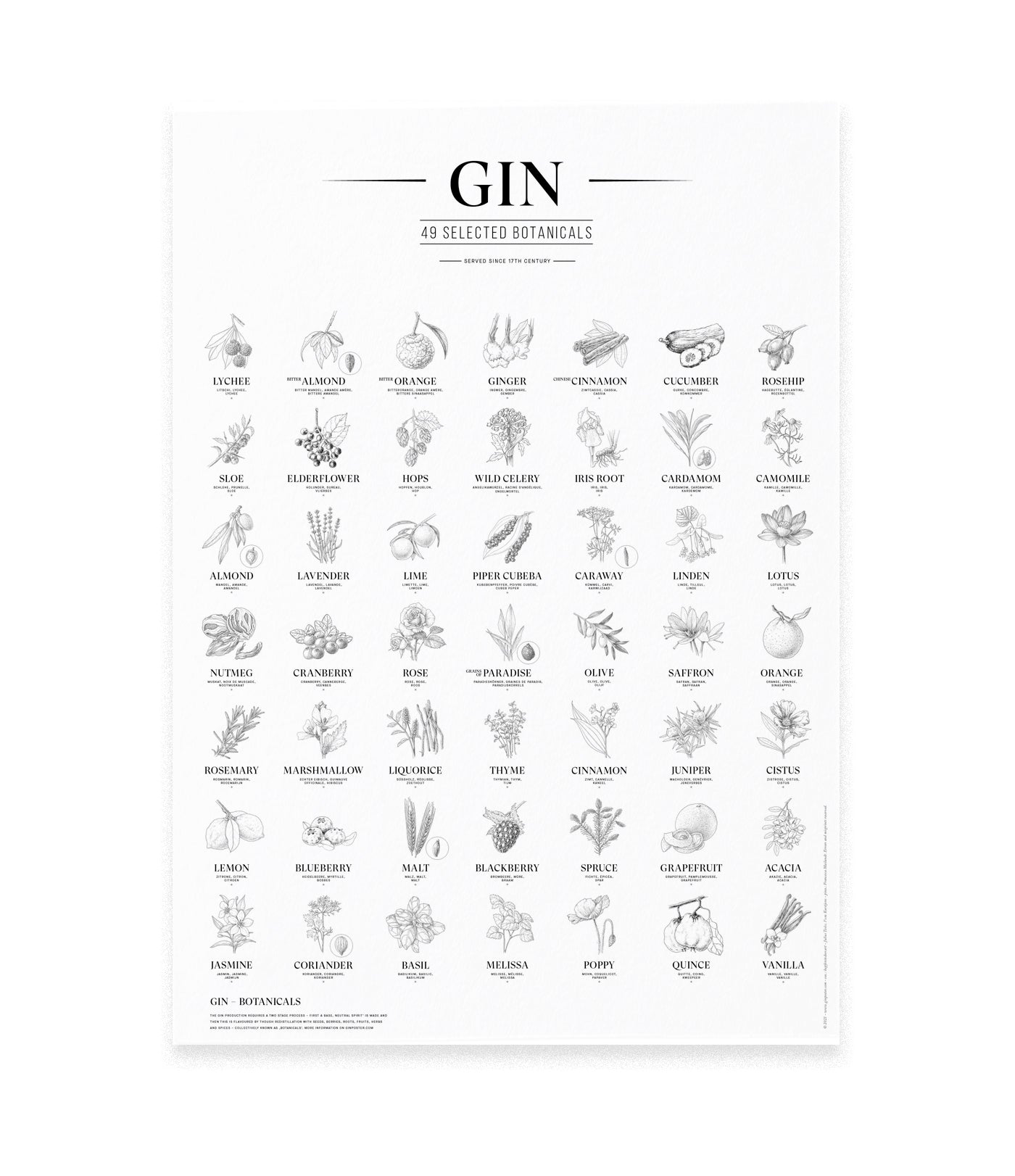 Gin Plakat EN W