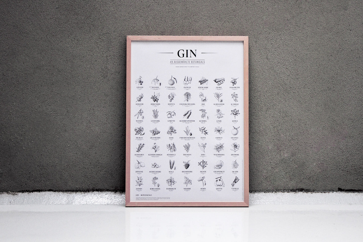Gin Plakat 49 Ausgewaehlte Botanicals