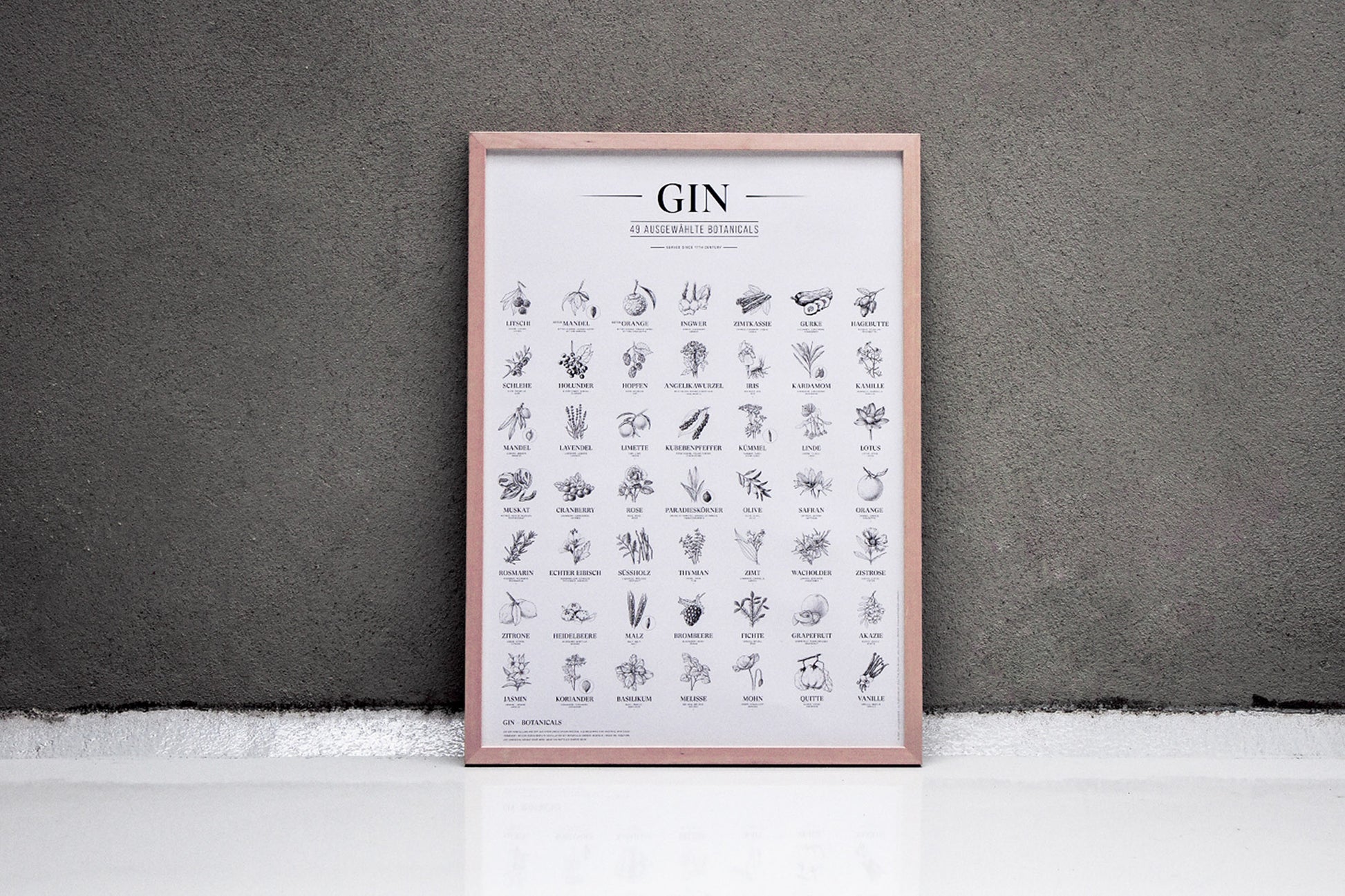Gin Plakat 49 Ausgewaehlte Botanicals