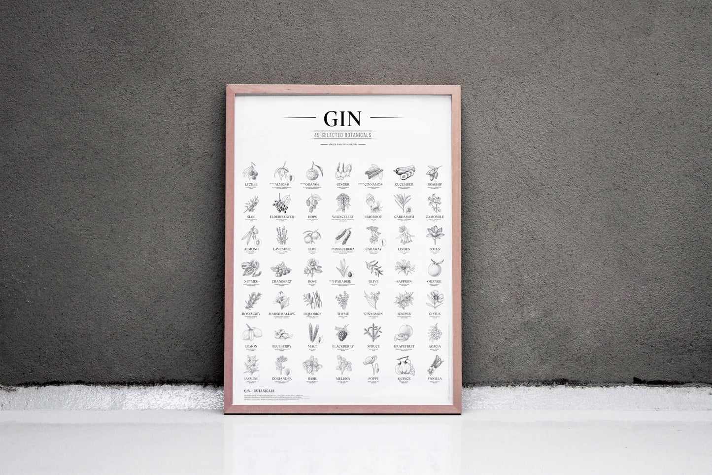 Gin Plakat