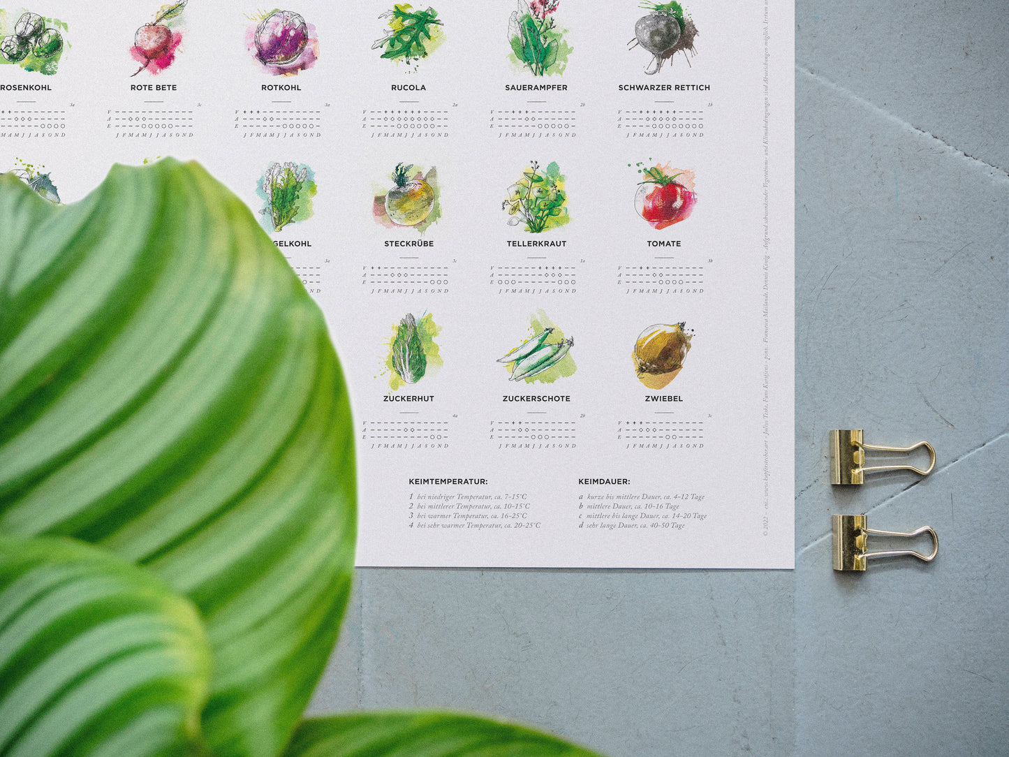 Pflanzkalender Small