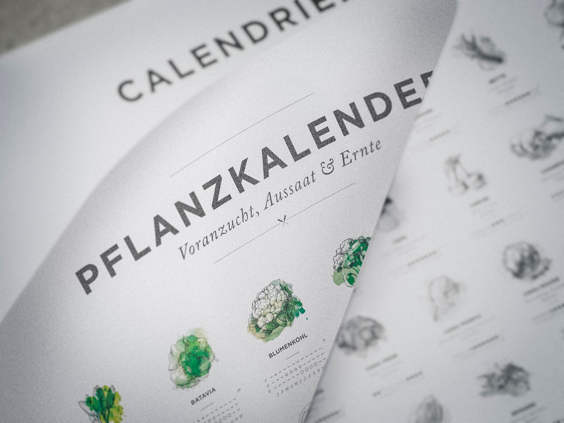 Pflanzkalender Small