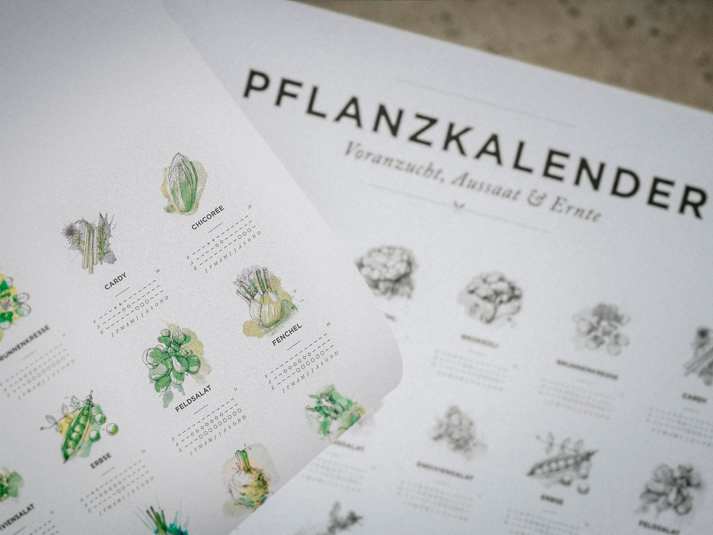Pflanzkalender Small