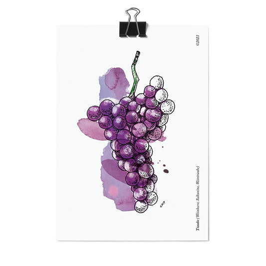 Postkarte Traube