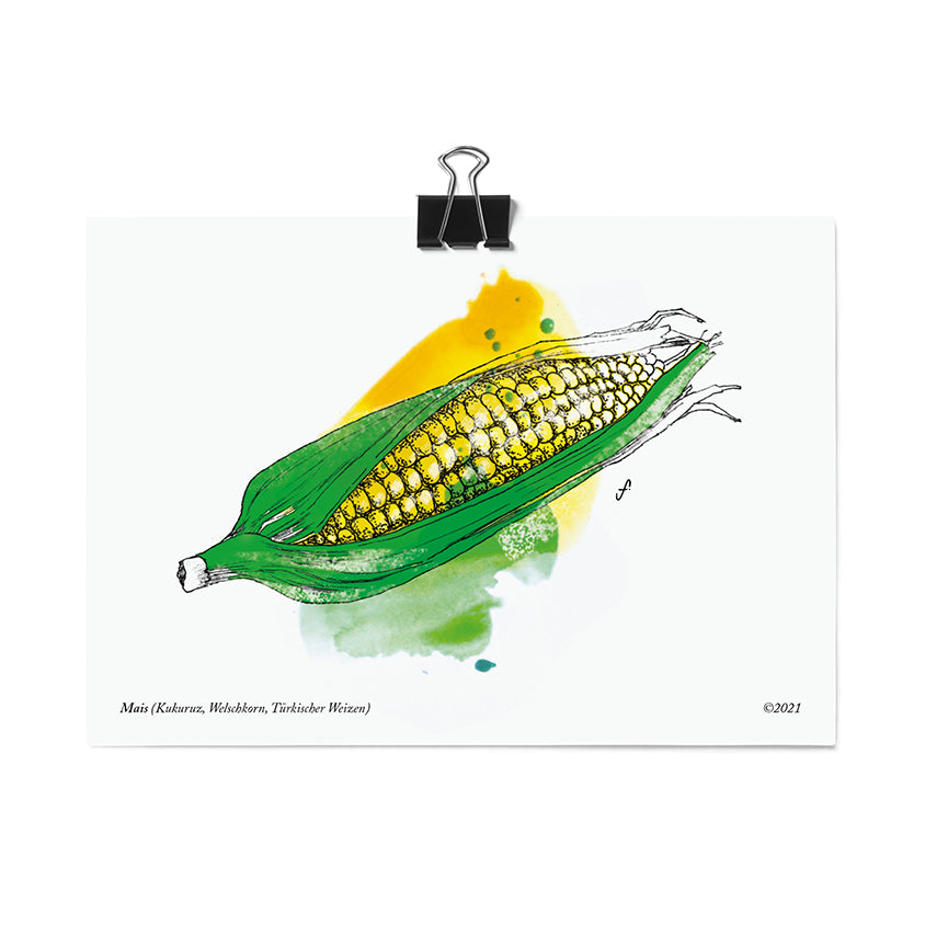 Postkarte Mais