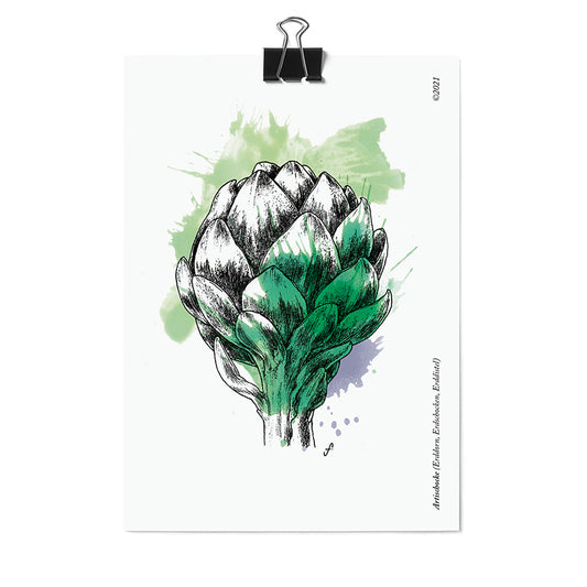 Postkarte Artischoke