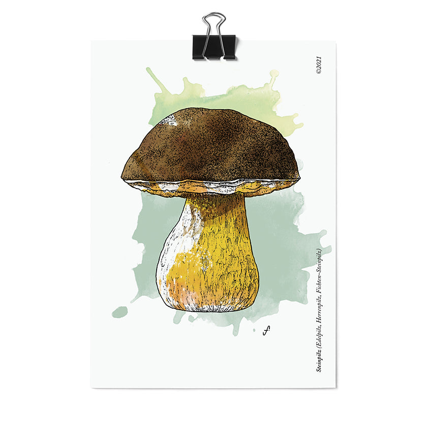 Postkarte Steinpilz